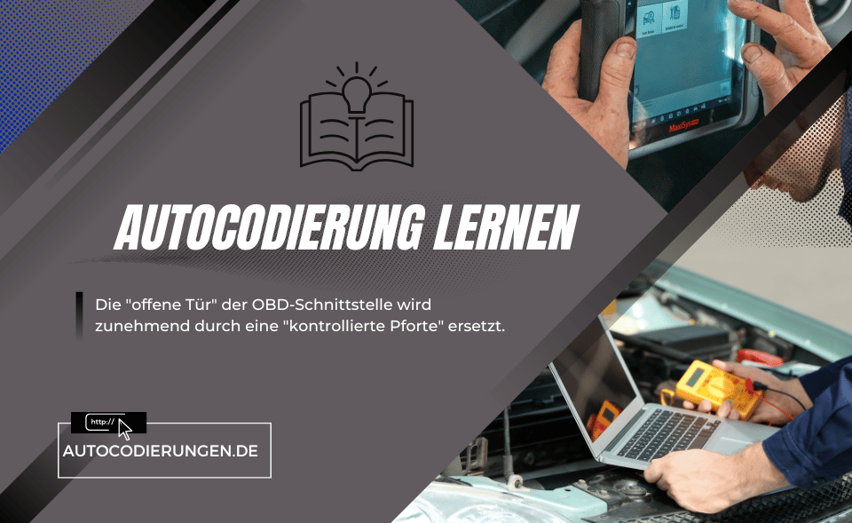 Autocodierung lernen