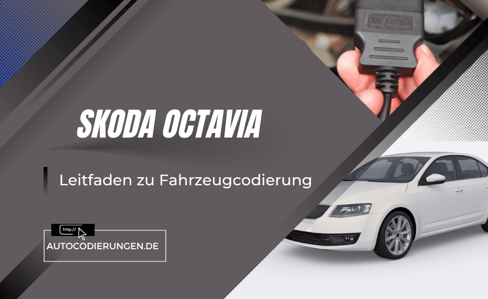 Skoda Octavia Leitfaden zu Fahrzeugcodierung